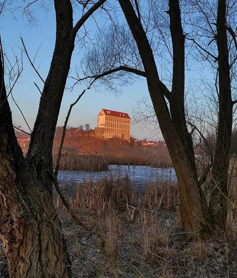 Ubytovani V Plumlove Kültér fotó